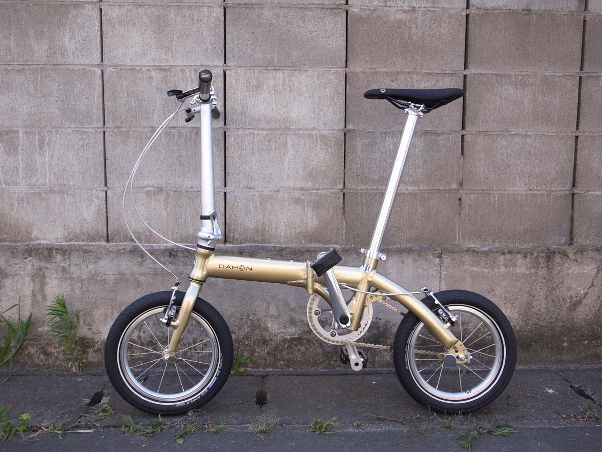 させていただくことはダホン ダヴプラス ビッグアップル - 自転車本体